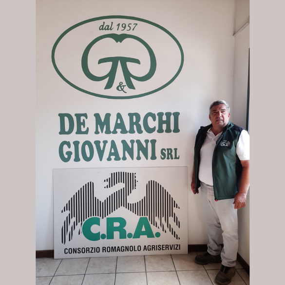 DE MARCHI GIOVANNI SRL UNIPERSONALE
