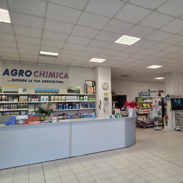 Immagine punto vendita