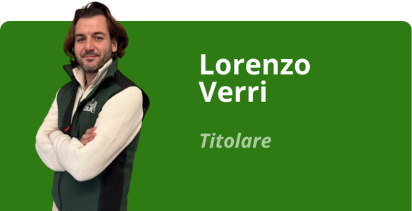 Immagine team
