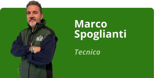 Immagine team