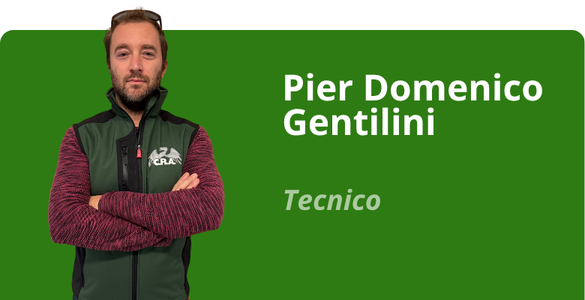 Immagine team