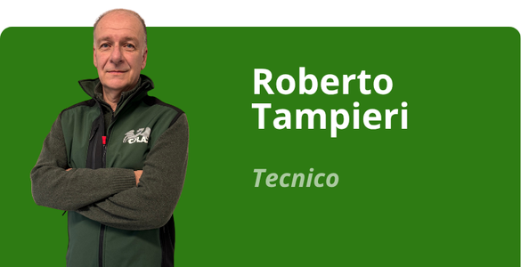 Immagine team