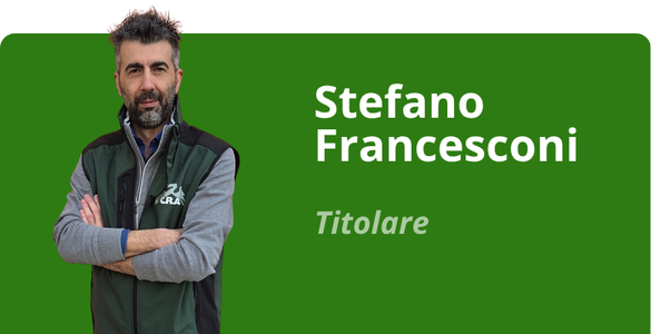Immagine team