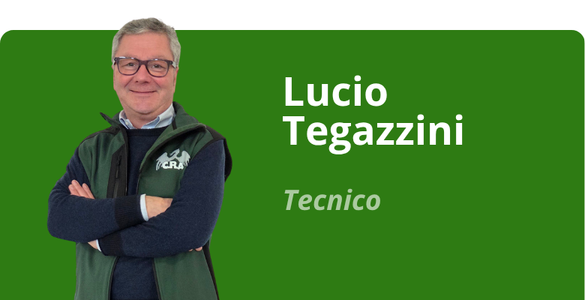 Immagine team
