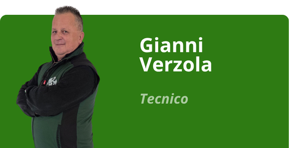 Immagine team
