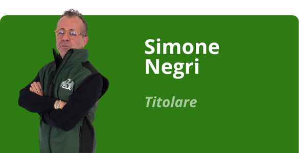 Immagine team
