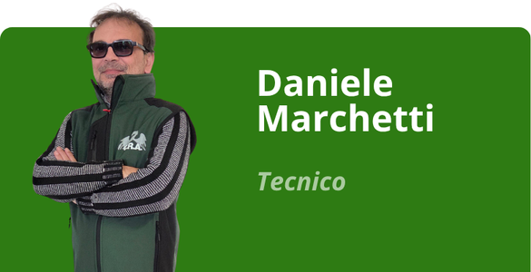 Immagine team