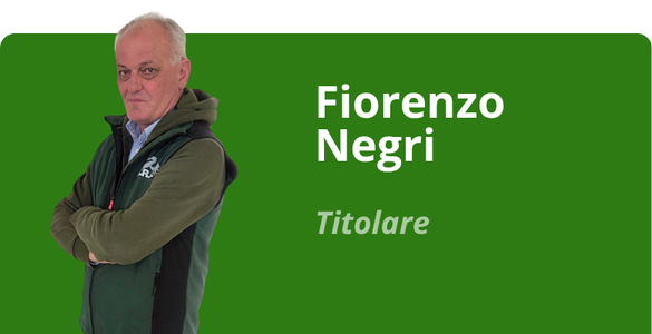 Immagine team