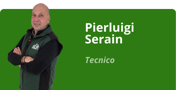 Immagine team