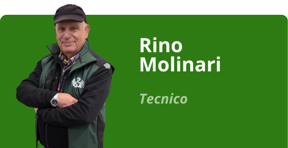 Immagine team
