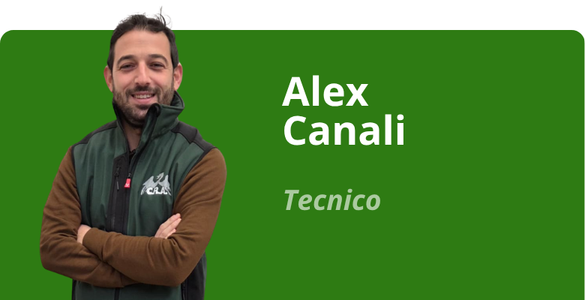 Immagine team
