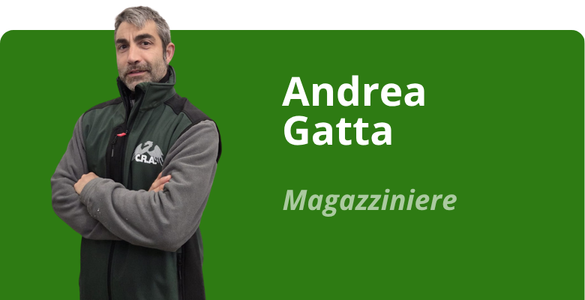 Immagine team