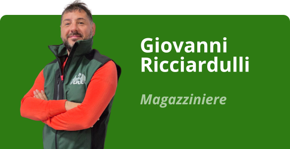 Immagine team