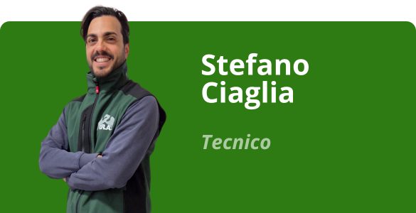 Immagine team