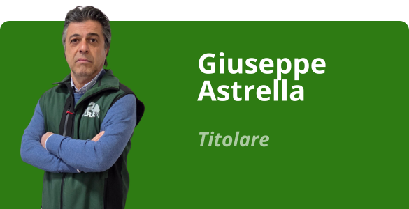 Immagine team
