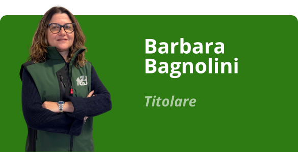Immagine team