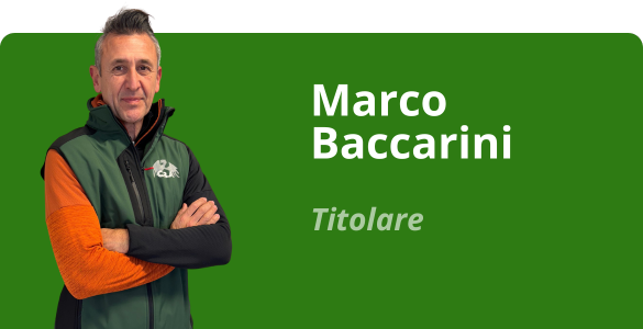 Immagine team