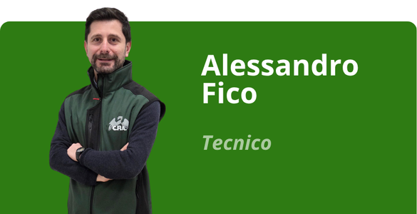 Immagine team