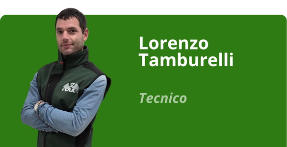 Immagine team