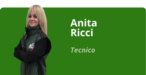 Immagine team