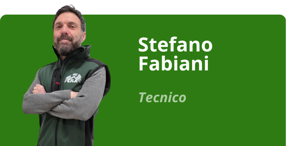Immagine team