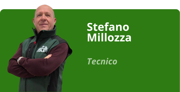 Immagine team