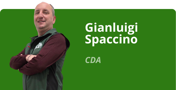 Immagine team
