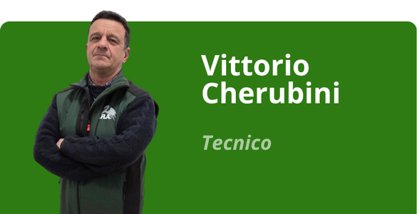 Immagine team