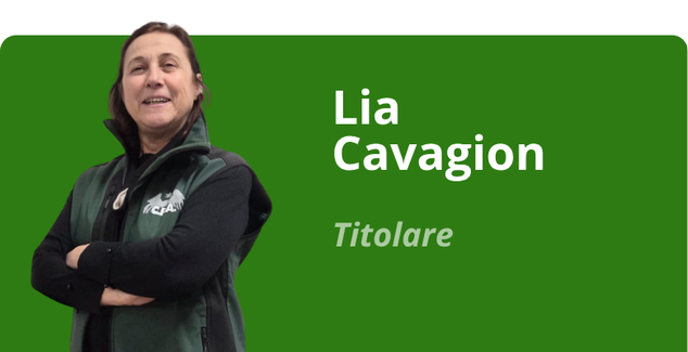 Immagine team