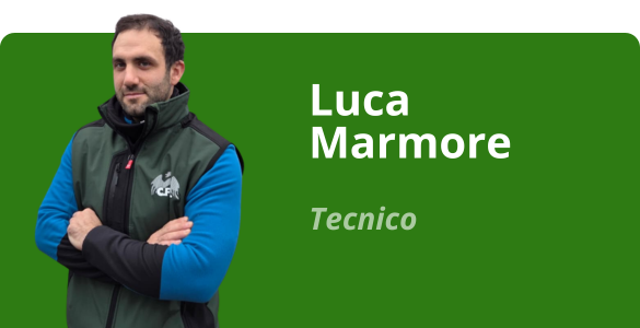 Immagine team