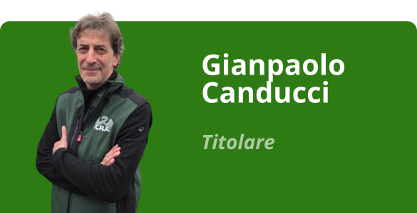 Immagine team