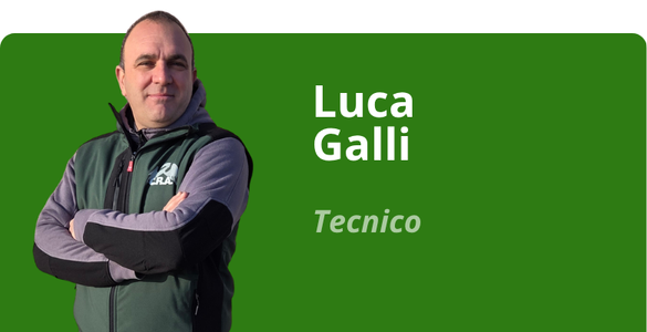 Immagine team