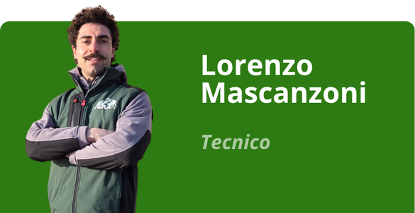 Immagine team