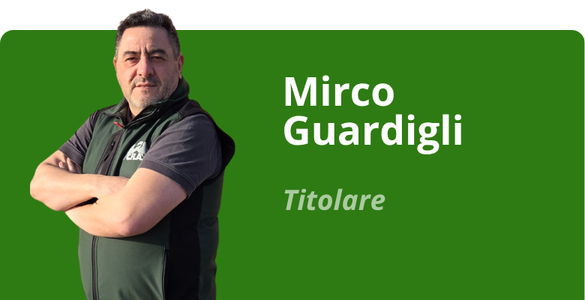 Immagine team