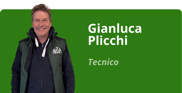 Immagine team