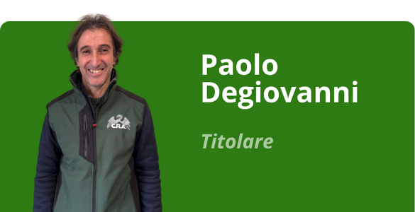 Immagine team