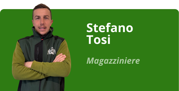 Immagine team