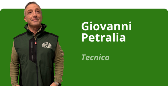 Immagine team