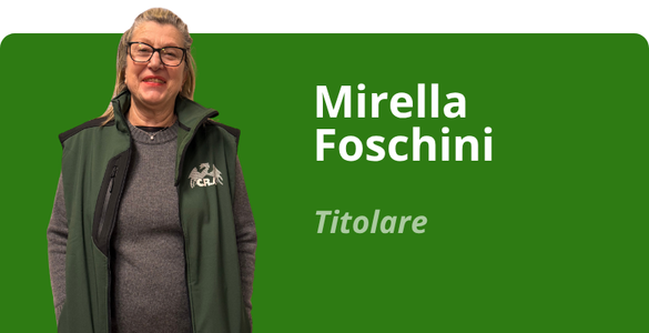 Immagine team