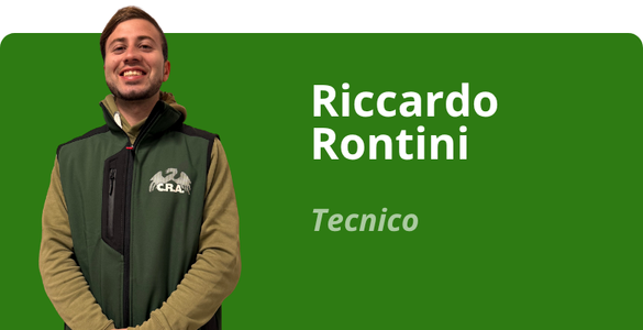Immagine team