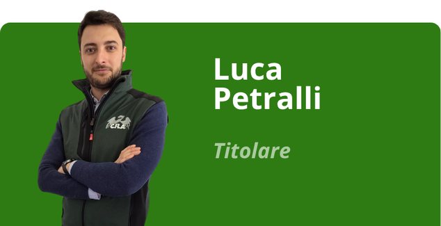 Immagine team