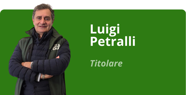 Immagine team