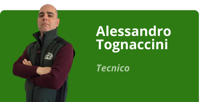Immagine team