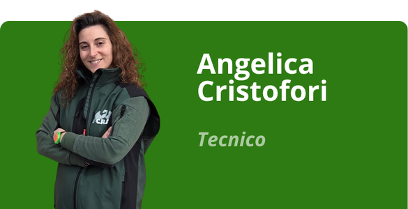 Immagine team
