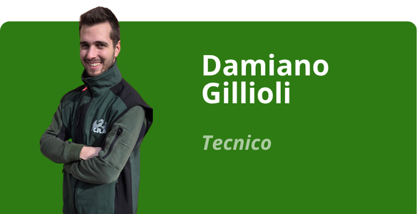Immagine team