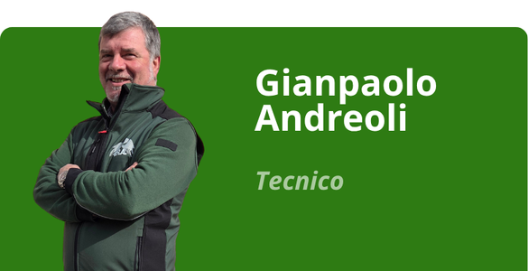 Immagine team