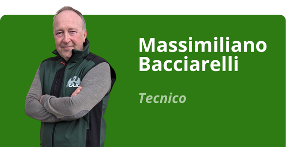 Immagine team