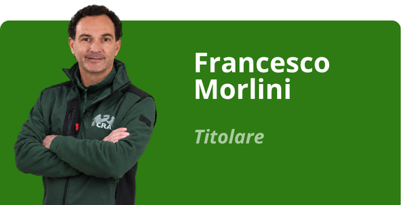 Immagine team
