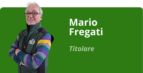 Immagine team