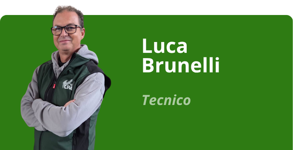 Immagine team